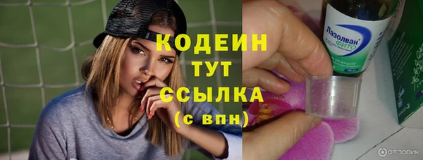 молекула духа Ельня