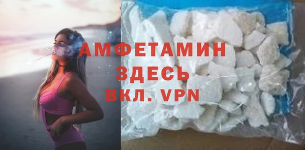 молекула духа Ельня