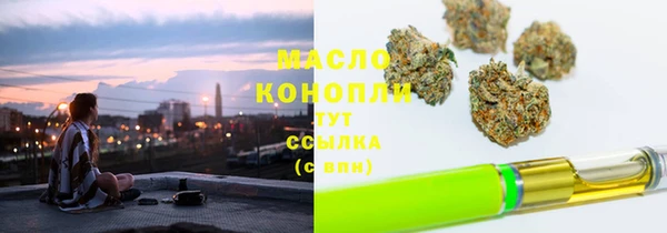 молекула духа Ельня