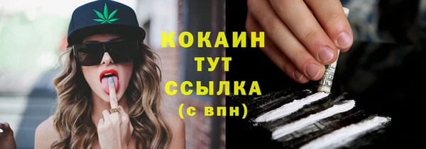 молекула духа Ельня