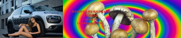 молекула духа Ельня