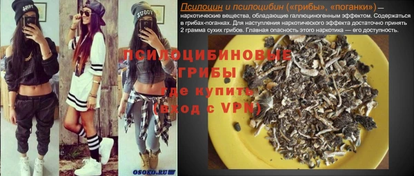 молекула духа Ельня
