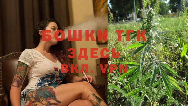соль ск Елабуга