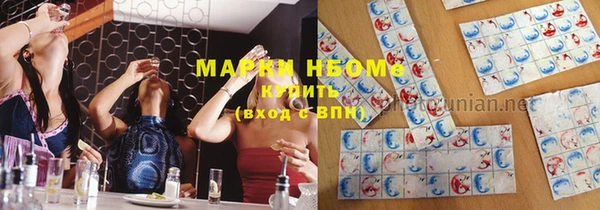 молекула духа Ельня