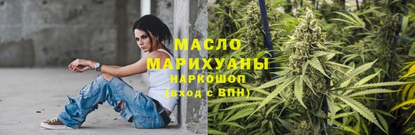 молекула духа Ельня