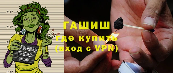 молекула духа Ельня