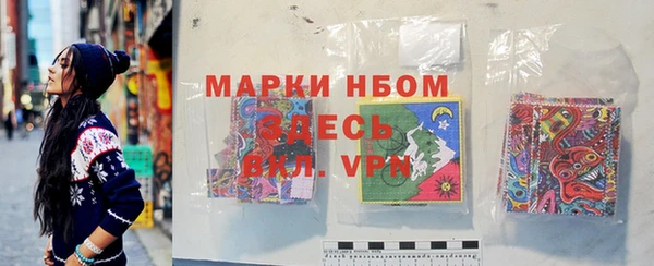 молекула духа Ельня