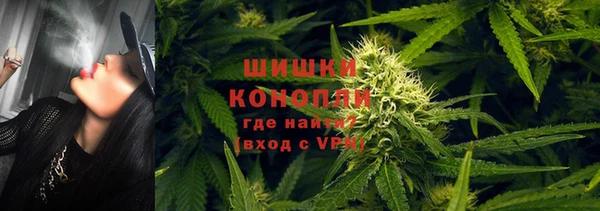 бошки Елизово