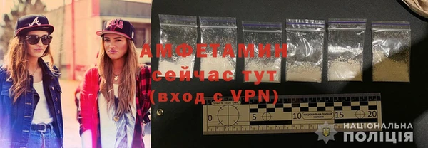 молекула духа Ельня